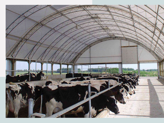 Тентовые коровники в Новокубанске